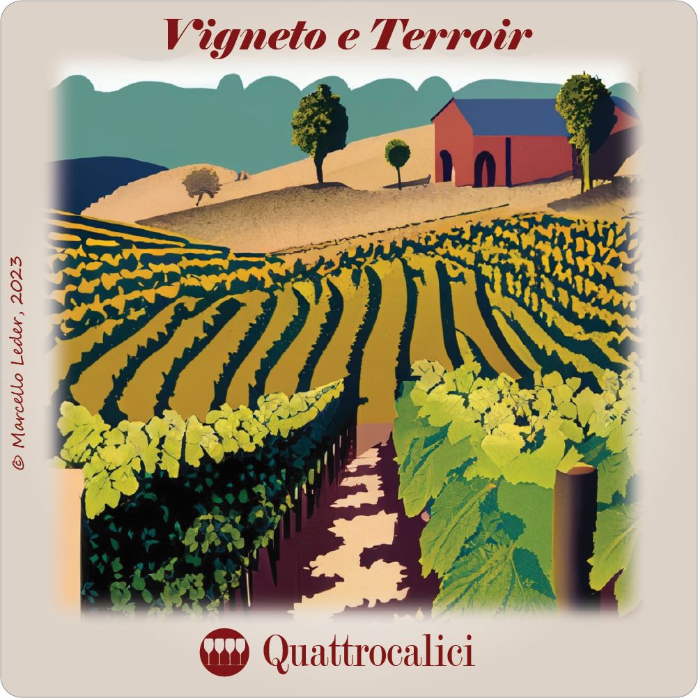 vigneto e terroir i quiz del vino