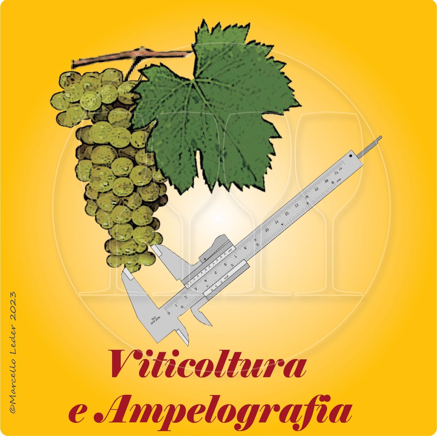 Viticoltura e ampleografia - Il Corso Online del VIno di Quattrocalici