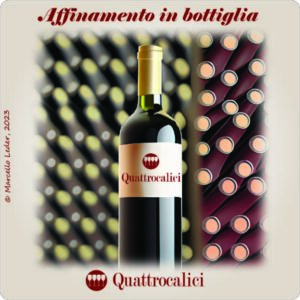 affinamento in bottiglia - I quiz del vino di Quattrocalici