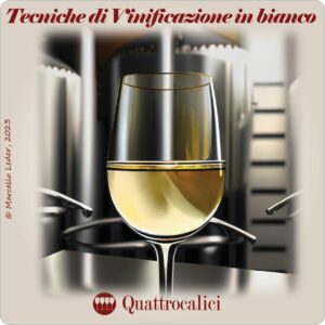 quiz sulle tecniche di vinificazione in bianco - quattrocalici
