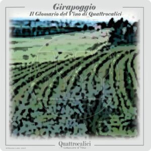 sistemazione a girapoggio