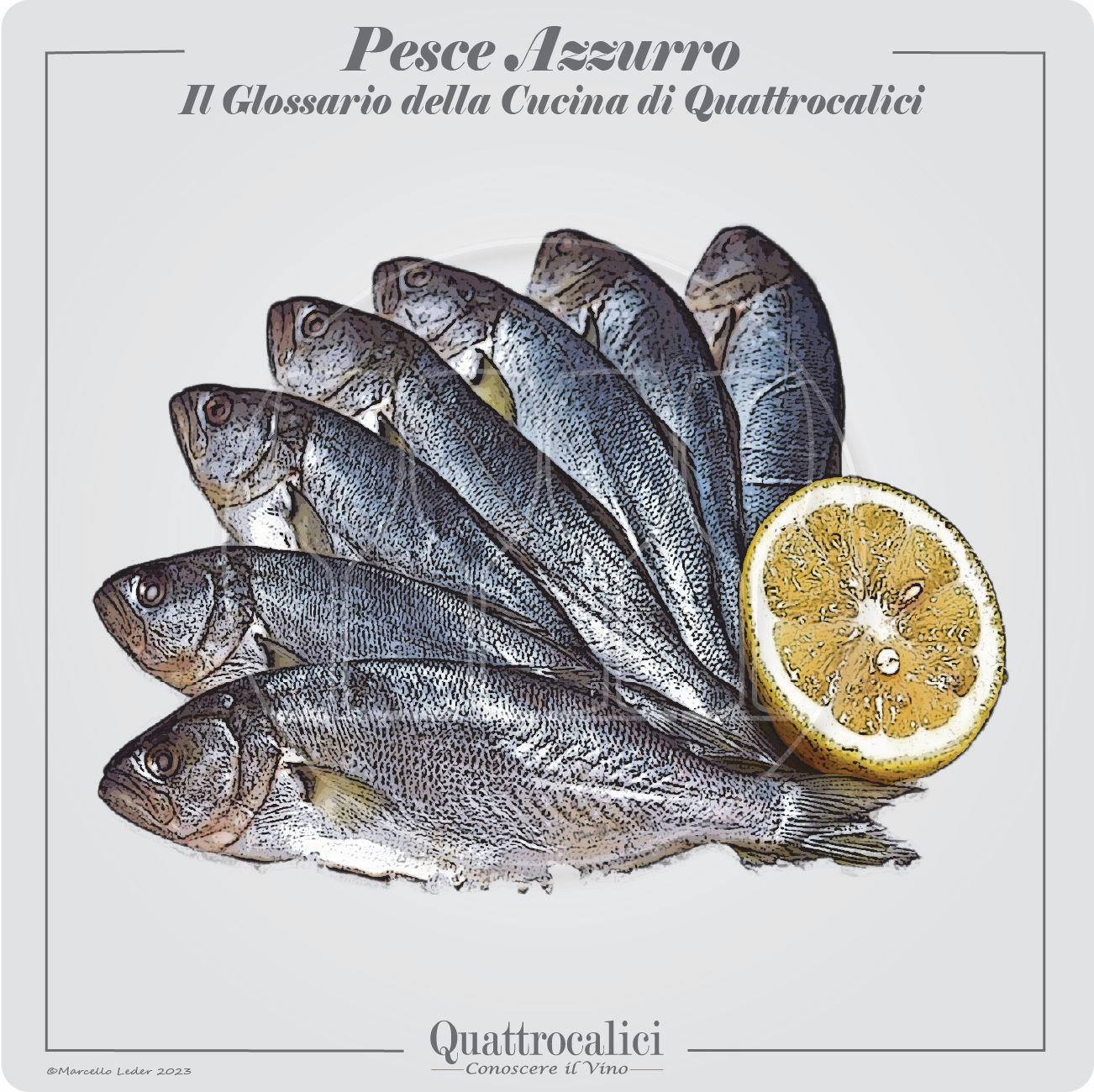 il pesce azzurro e il suo abbinamento con il vino