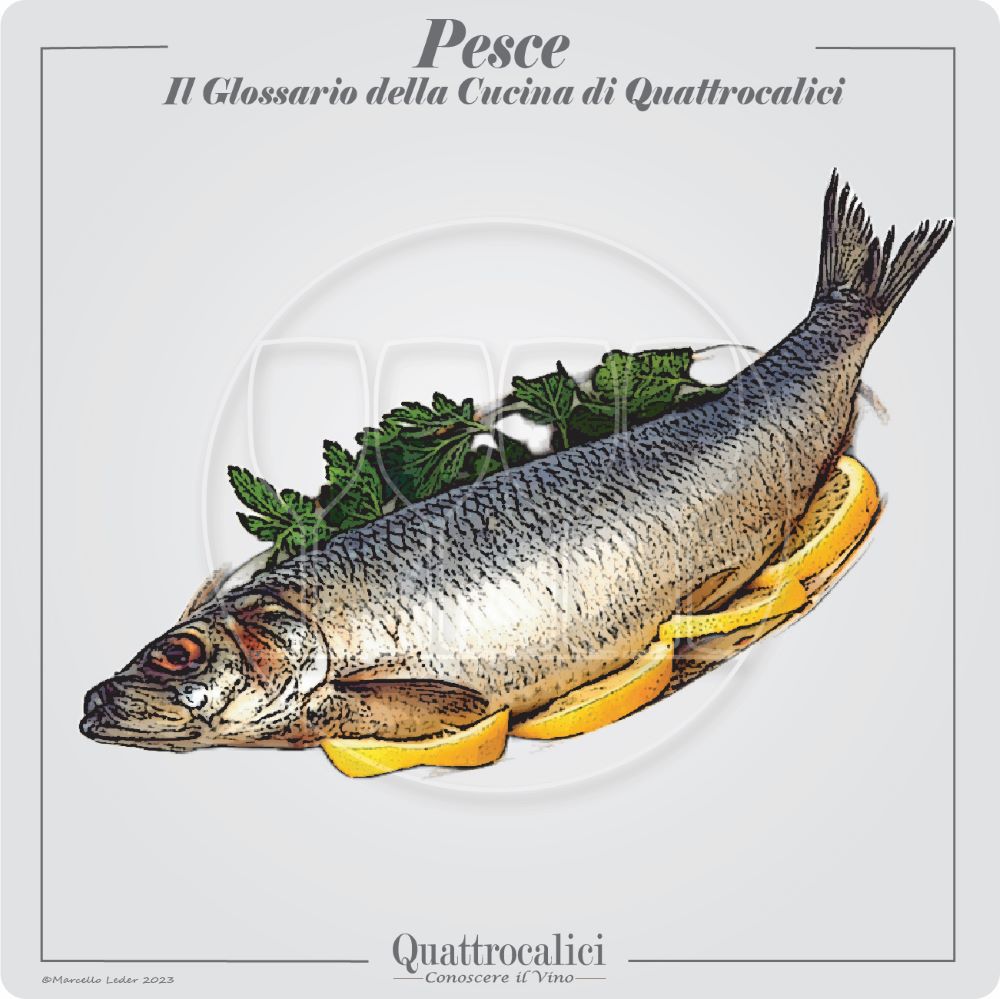 il pesce, vino e cucina