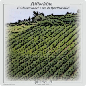 rittochino sistemazione vigneti
