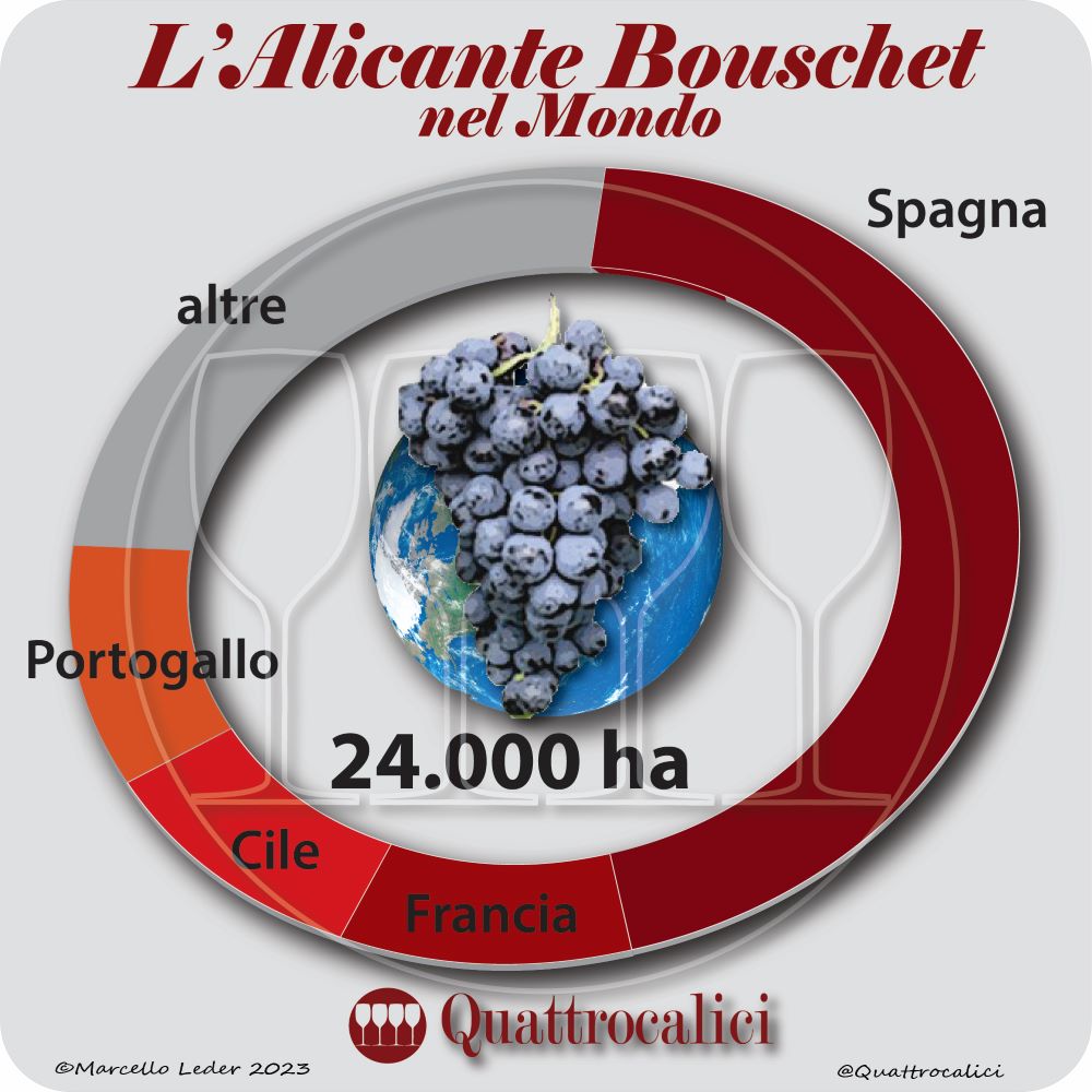 Il vitigno Alicante Bouschet nel mondo