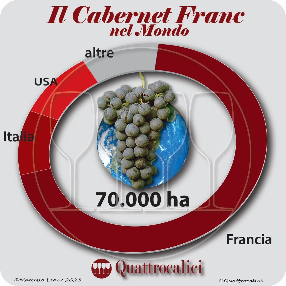 Il vitigno Cabernet Franc nel mondo