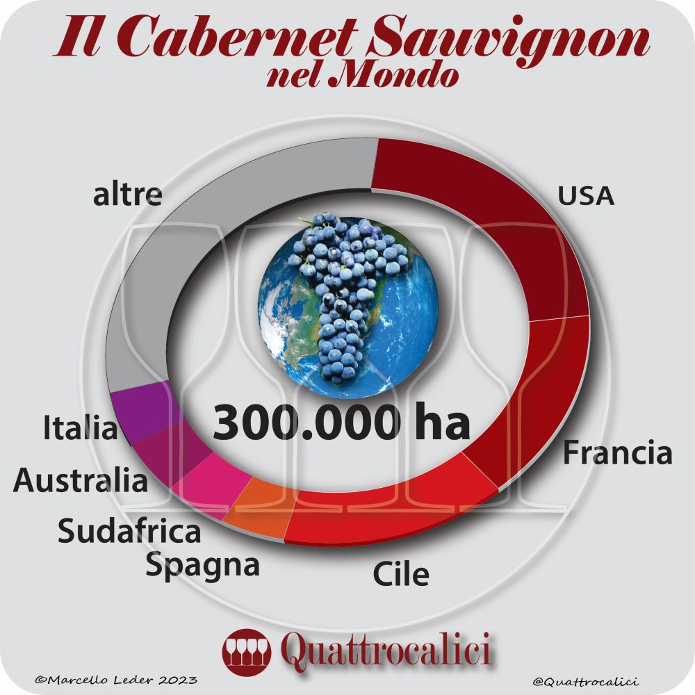 Il vitigno Cabernet Sauvignon nel mondo