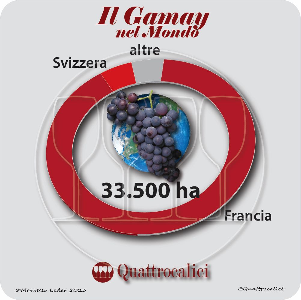 Il vitigno Gamay nel mondo