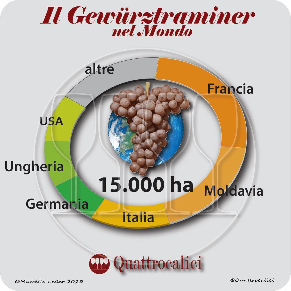 Il vitigno Gewürztraminer nel mondo