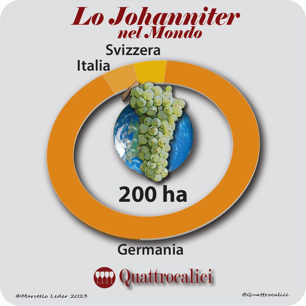 Il vitigno Johanniter nel mondo
