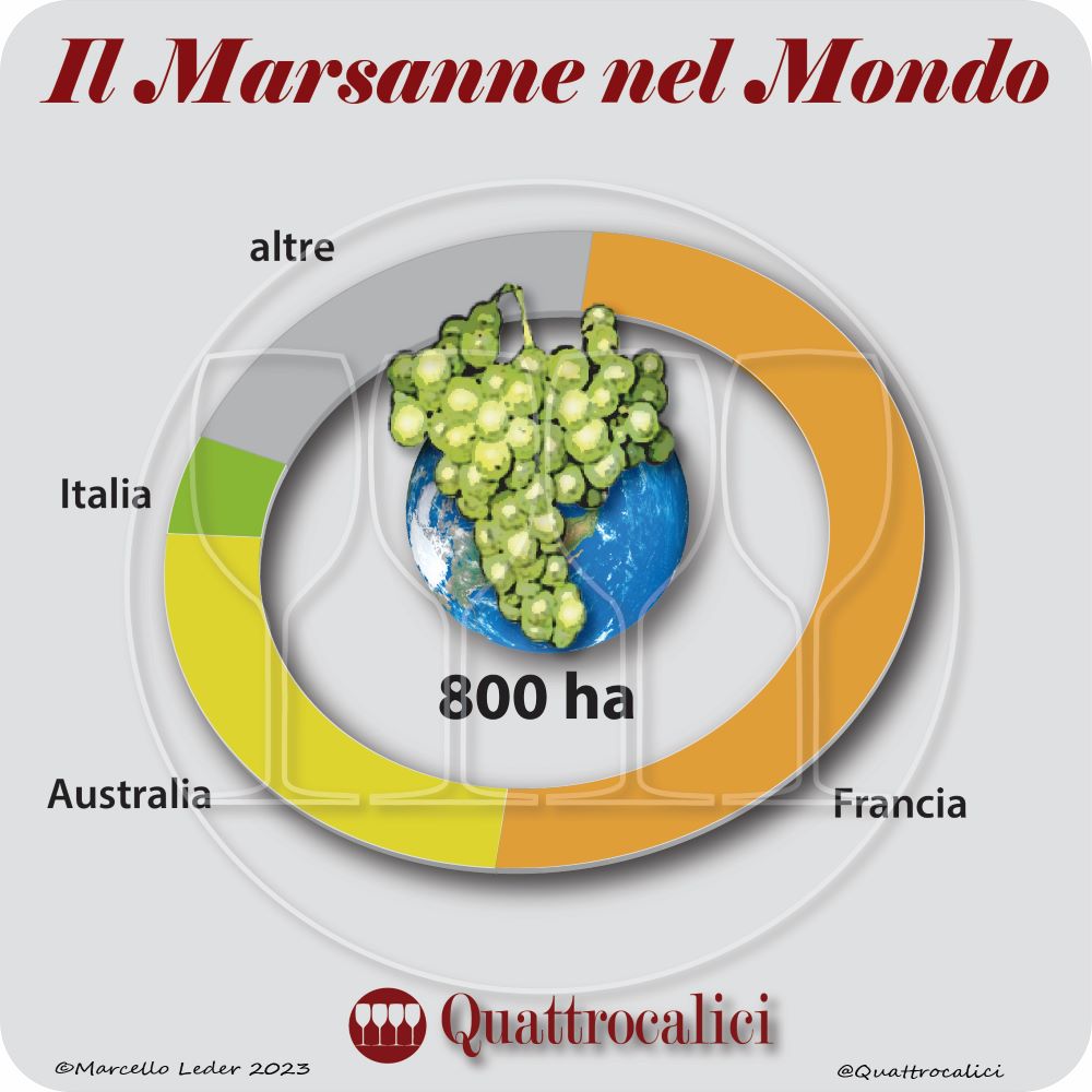 Il vitigno Marsanne nel mondo