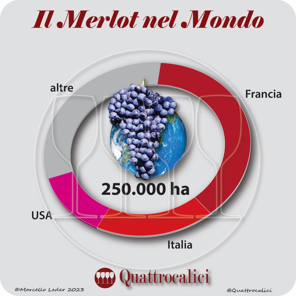 Il vitigno Merlot nel mondo
