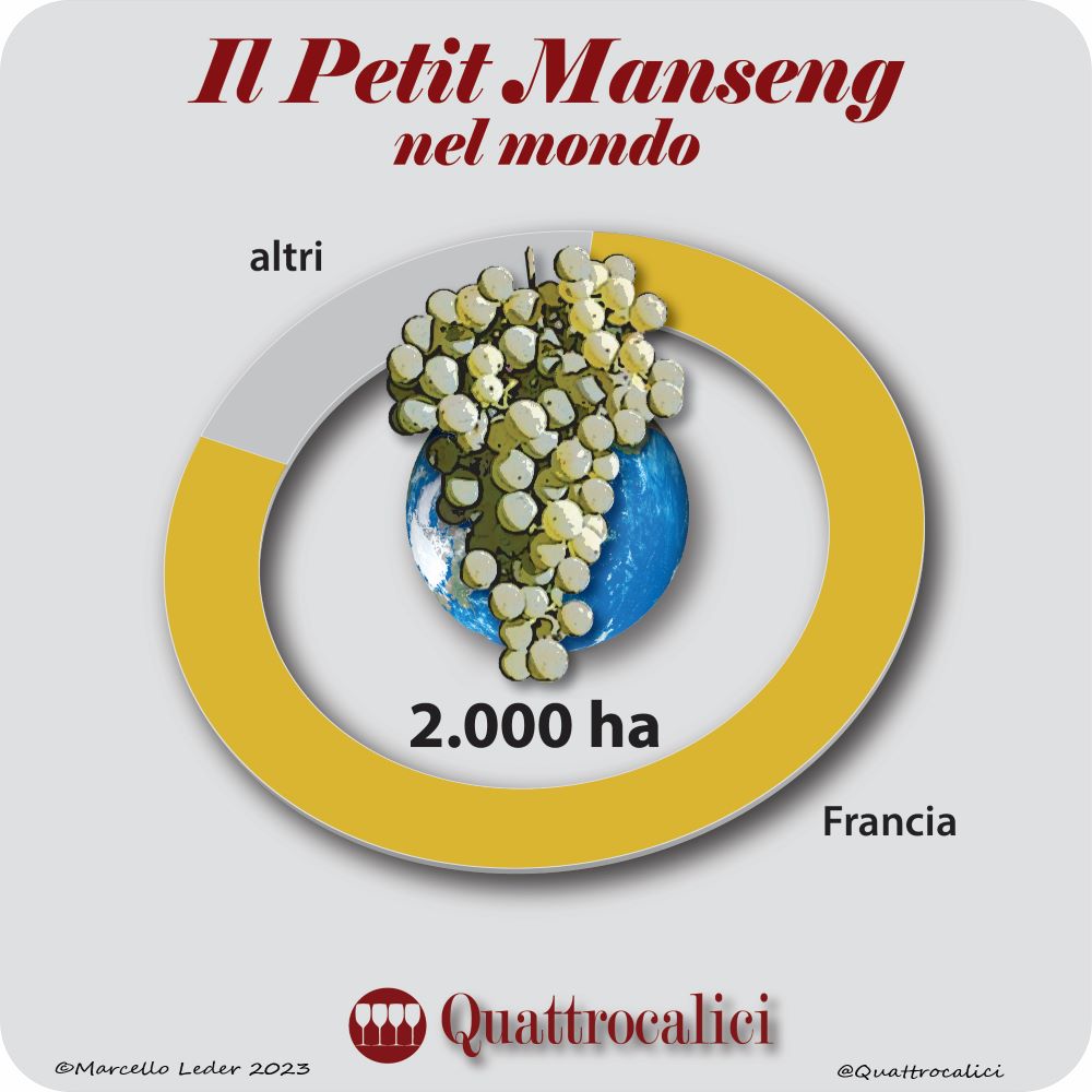 Il vitigno Petit Manseng nel mondo