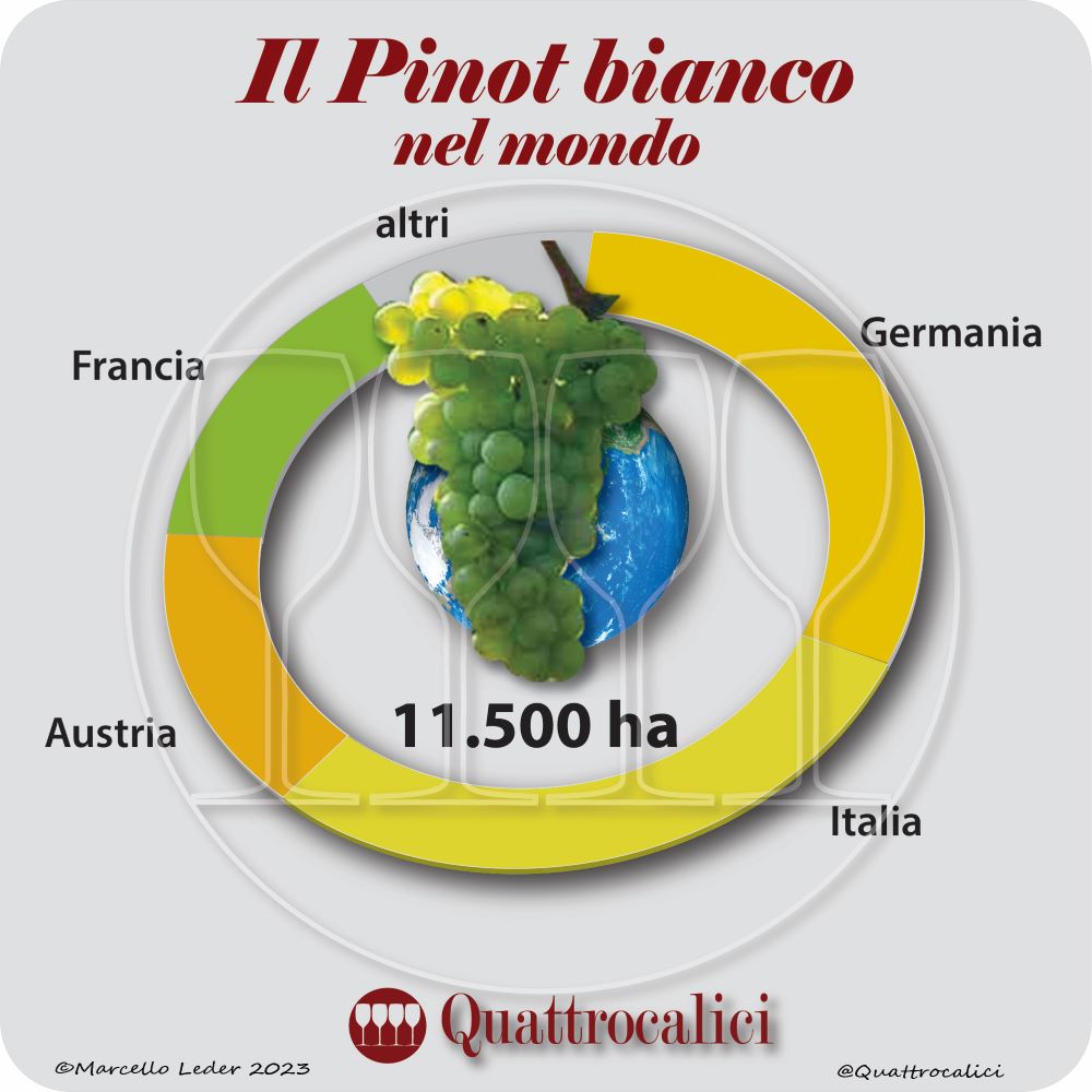 Il vitigno Pinot bianco nel mondo
