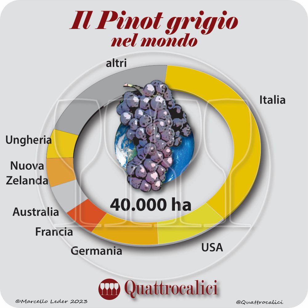 Il vitigno Pinot grigio nel mondo