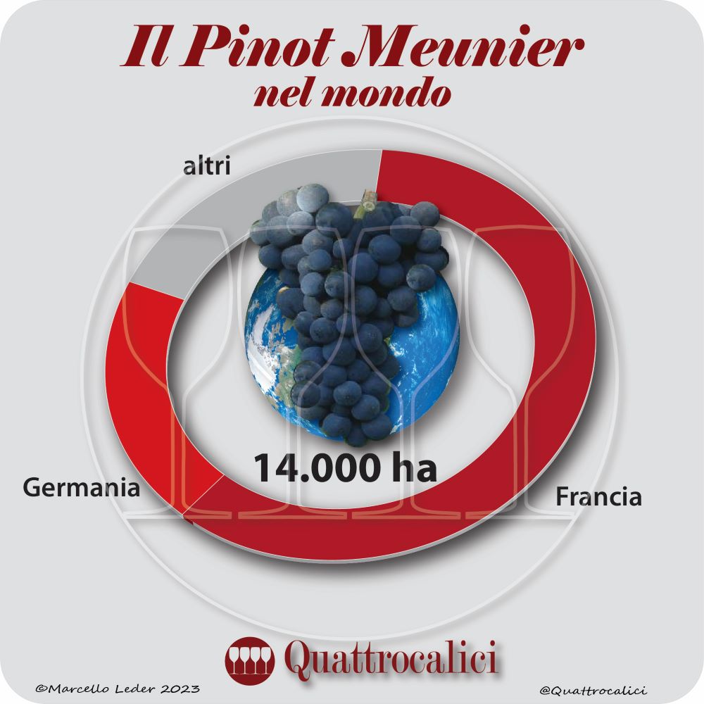 Il vitigno Pinot Meunier nel mondo