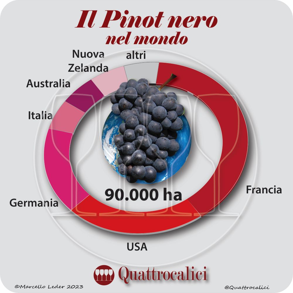 Il vitigno Pinot nero nel mondo
