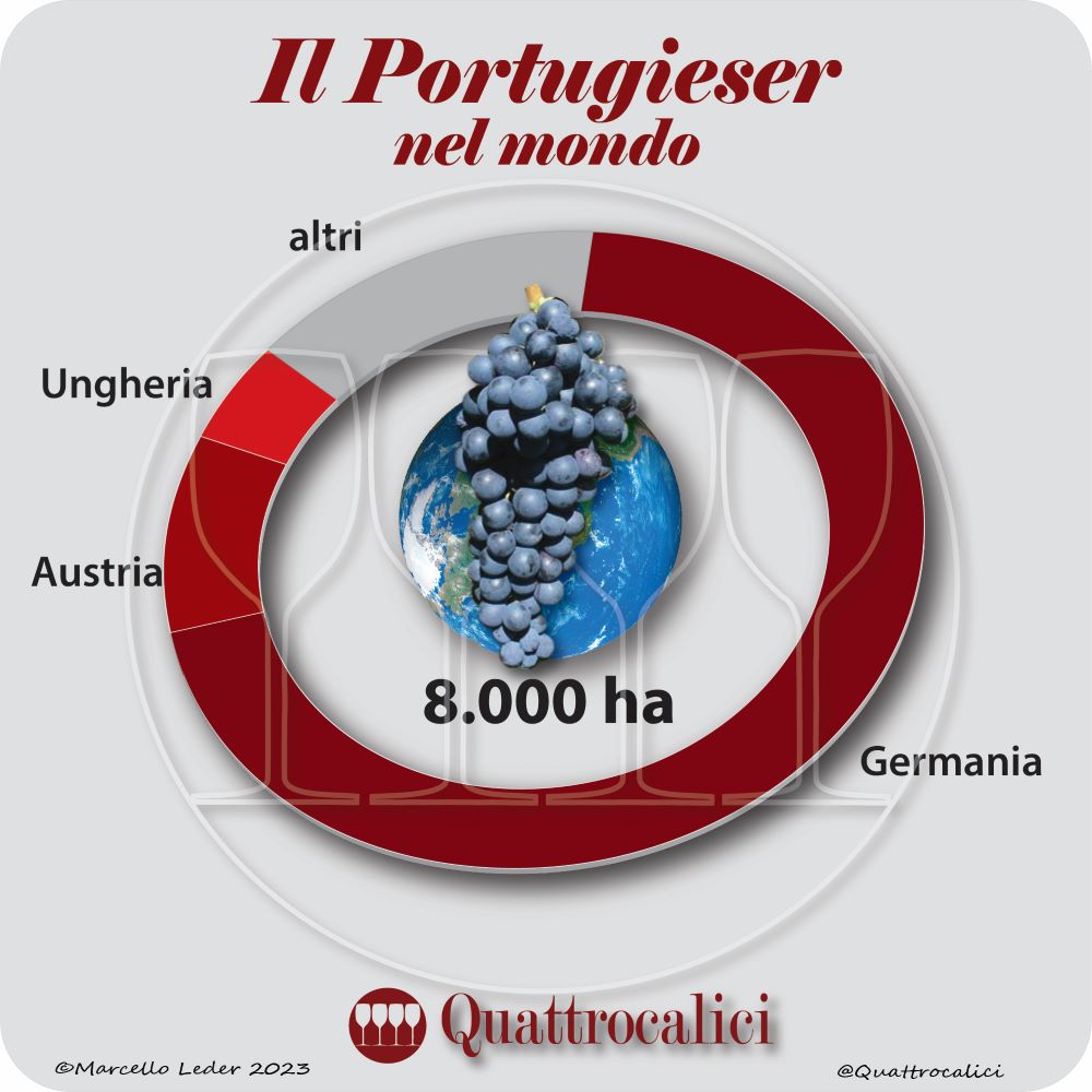 Il vitigno Portoghese nel mondo