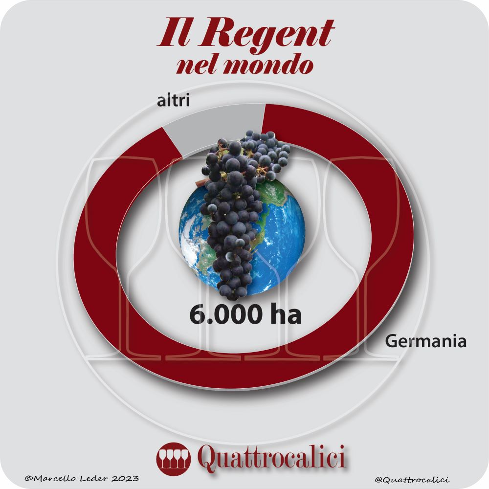 Il vitigno Regent nel mondo