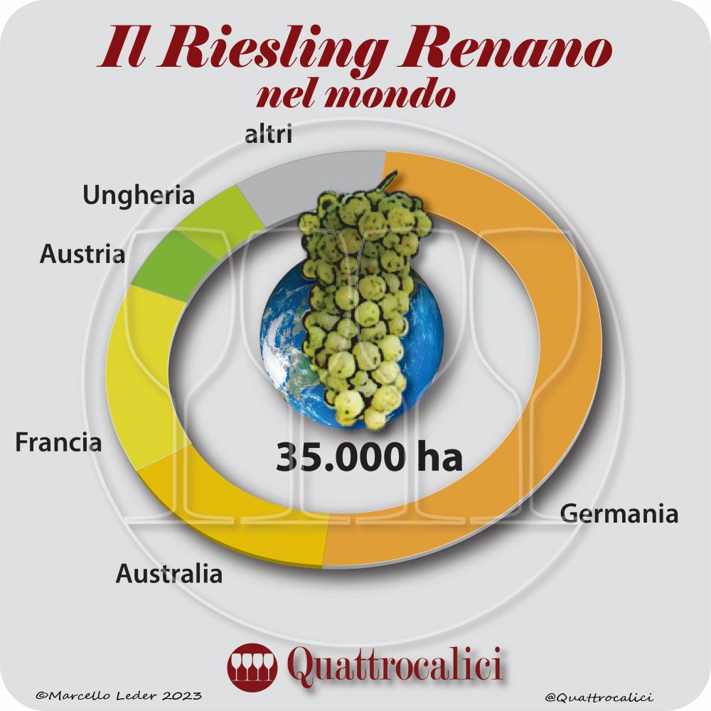 Il vitigno Riesling Renano nel mondo