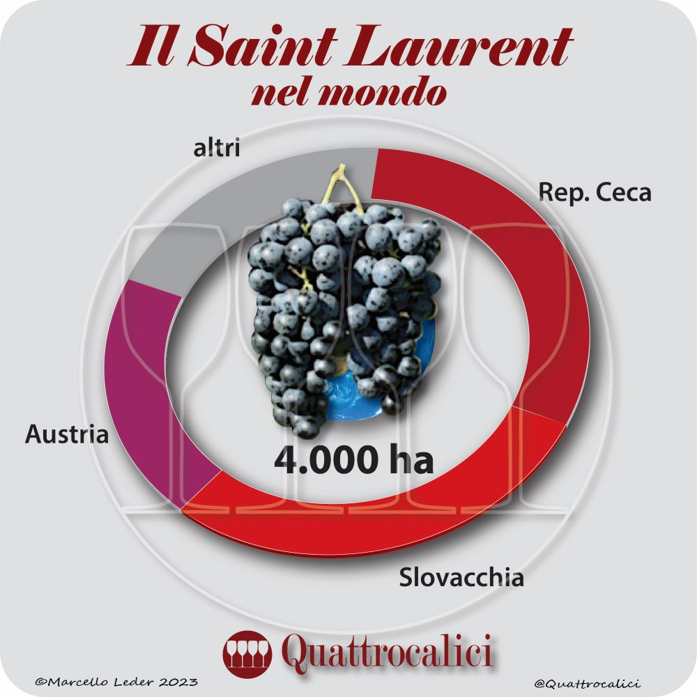Il vitigno Saint Laurent nel mondo