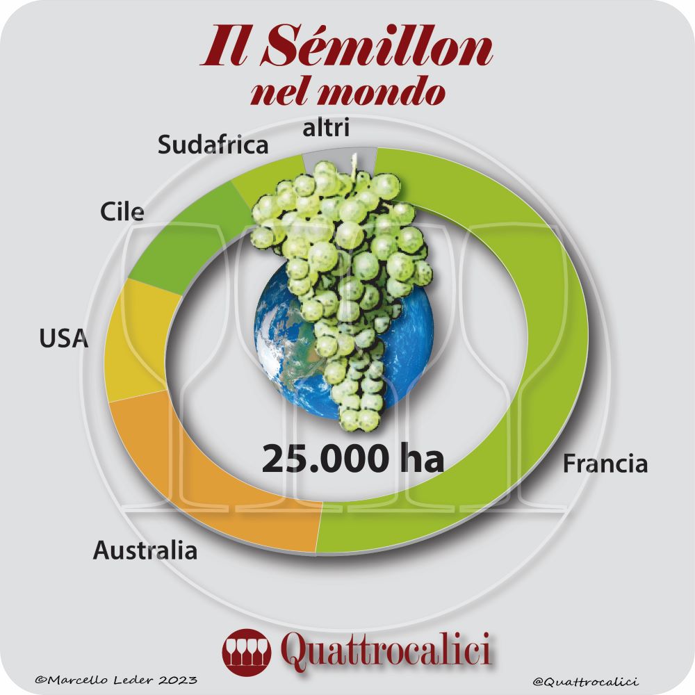 Il vitigno Sémillon nel mondo
