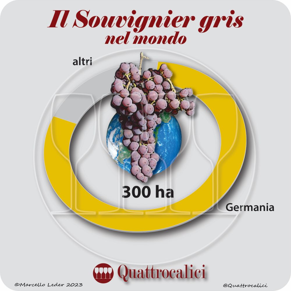 Il vitigno Souvignier gris nel mondo