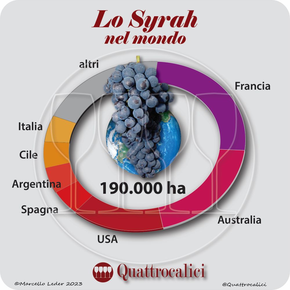 Il vitigno Syrah nel mondo