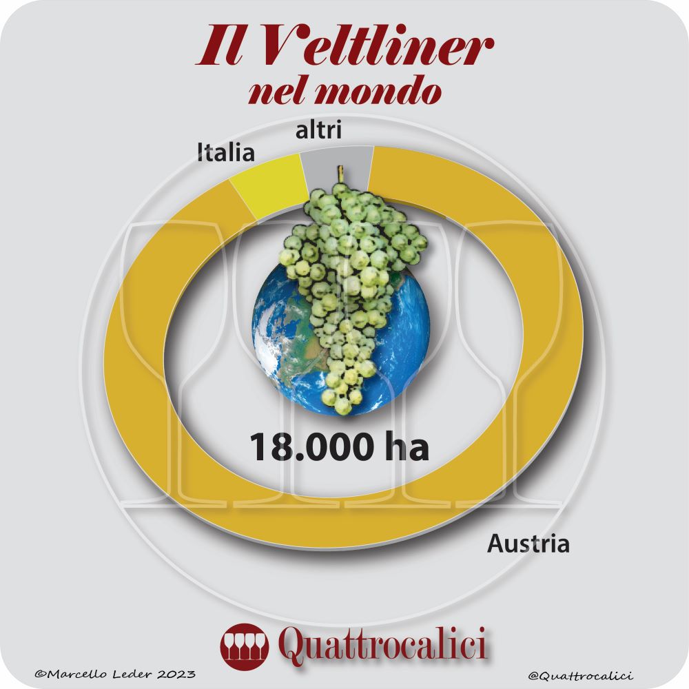 Il vitigno Veltliner nel mondo