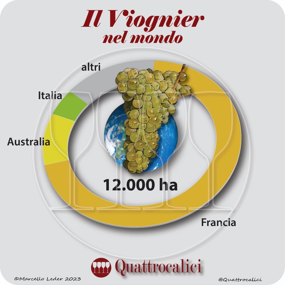 Il vitigno Viognier nel mondo