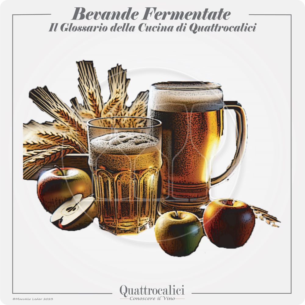 le bevande fermentate diverse dal vino