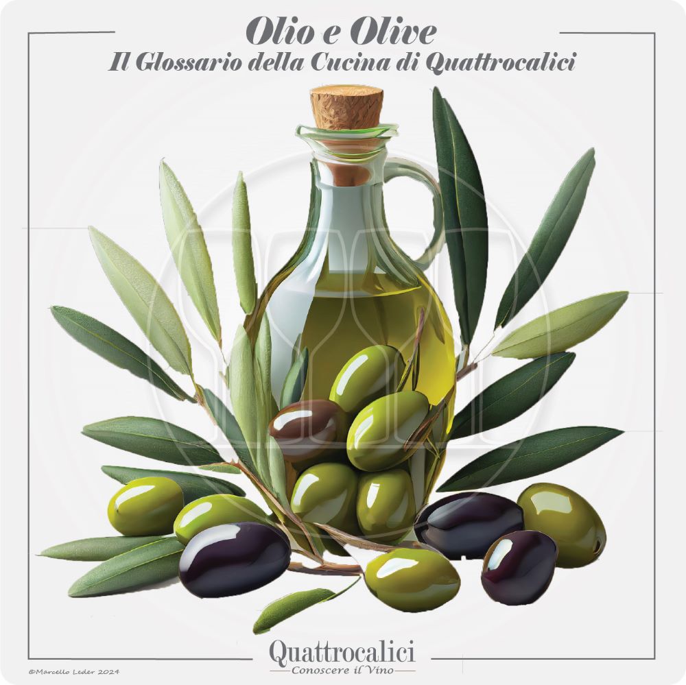 olio e olive e loro abbinamento con i vini