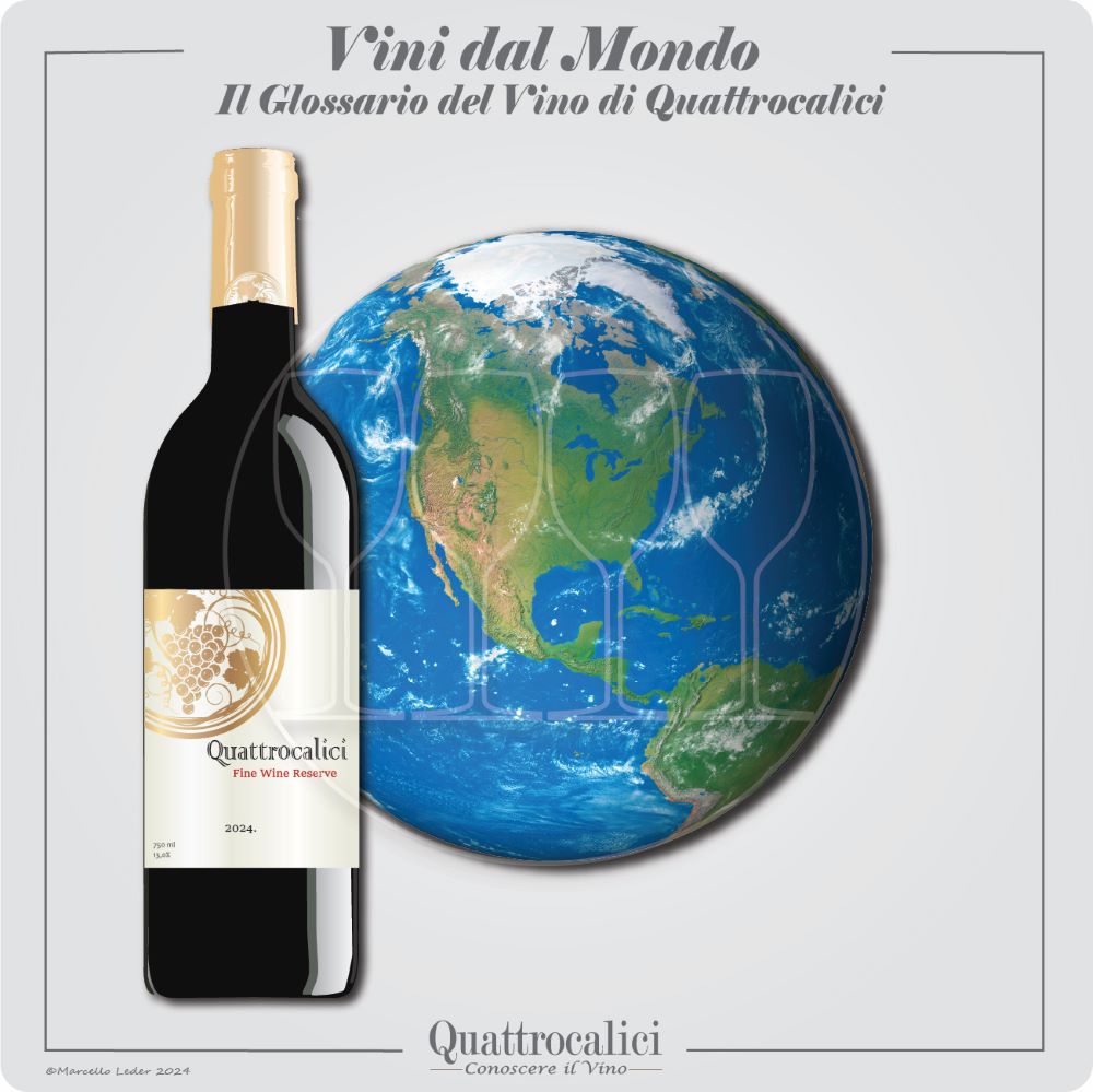 vini dal mondo