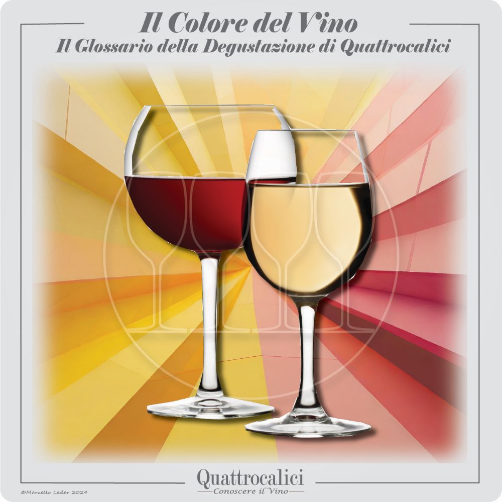 il colore del vino