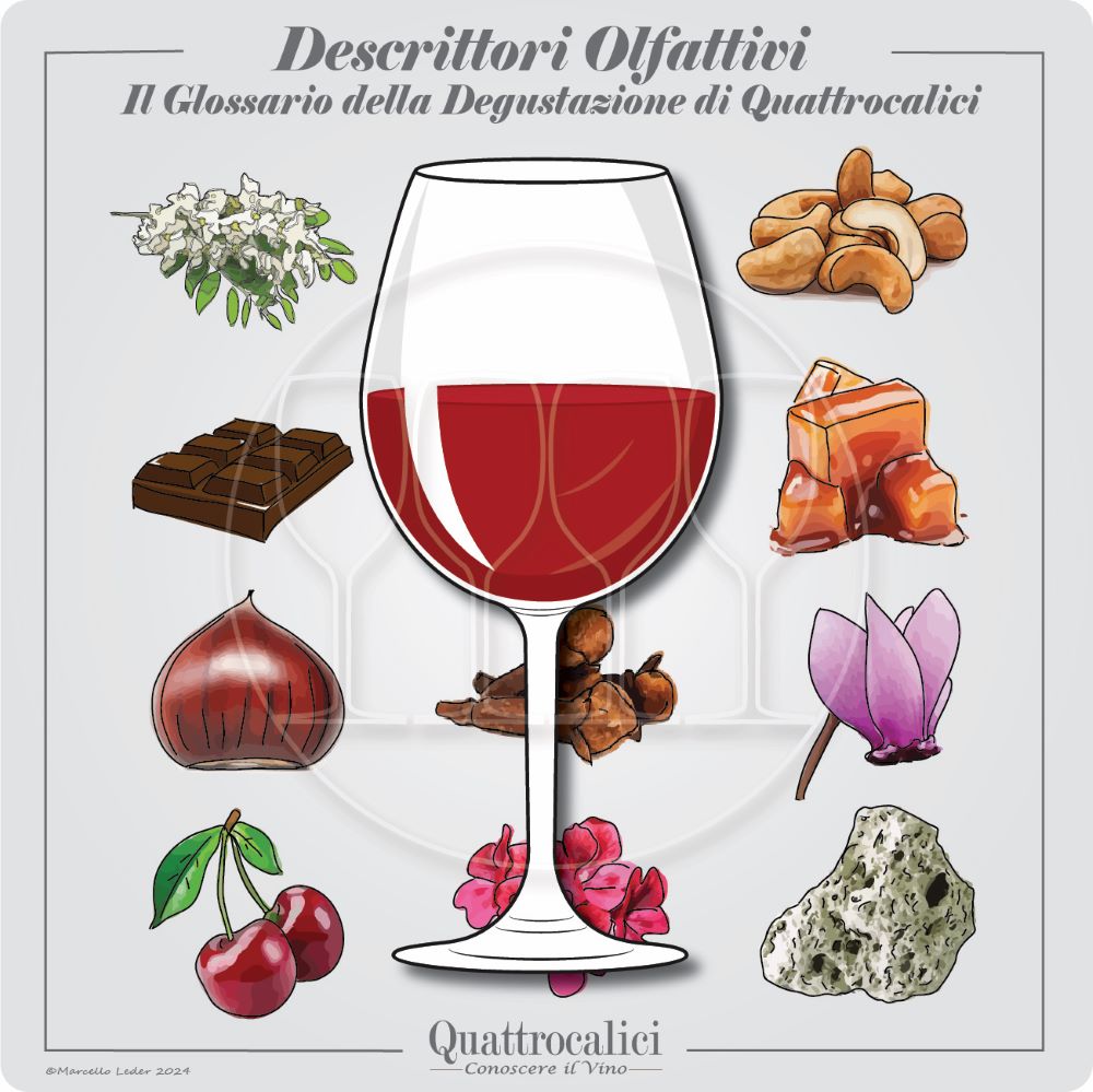 descrittori olfattivi del vino