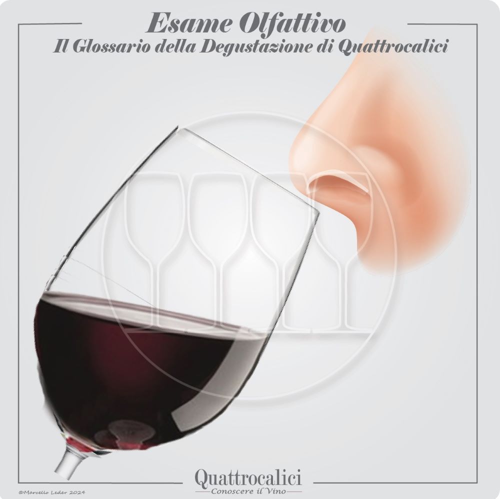 l'esame olfattivo dei vini