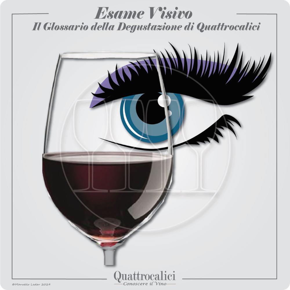 L'esame visivo del vino