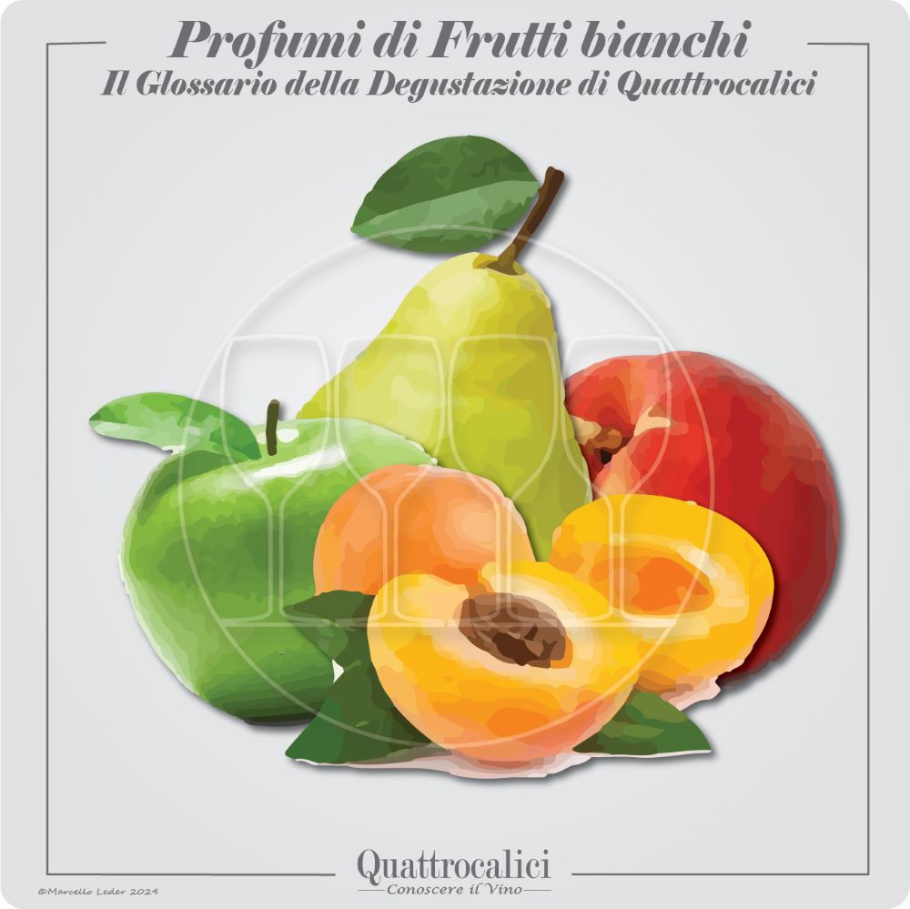 I profumi di frutti bianchi nel vino