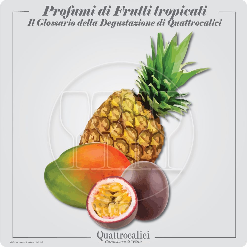 I profumi di frutti tropicali nel vino