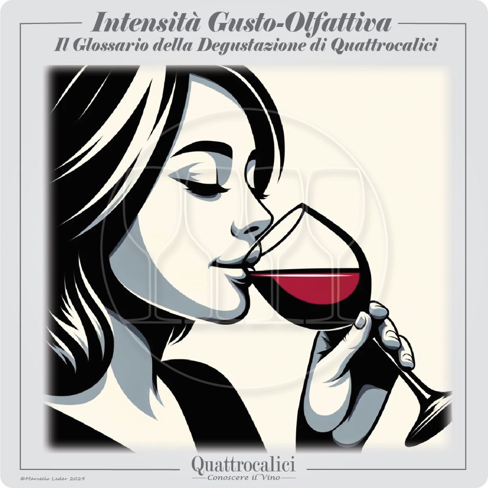 intensità gusto-olfattiva del vino