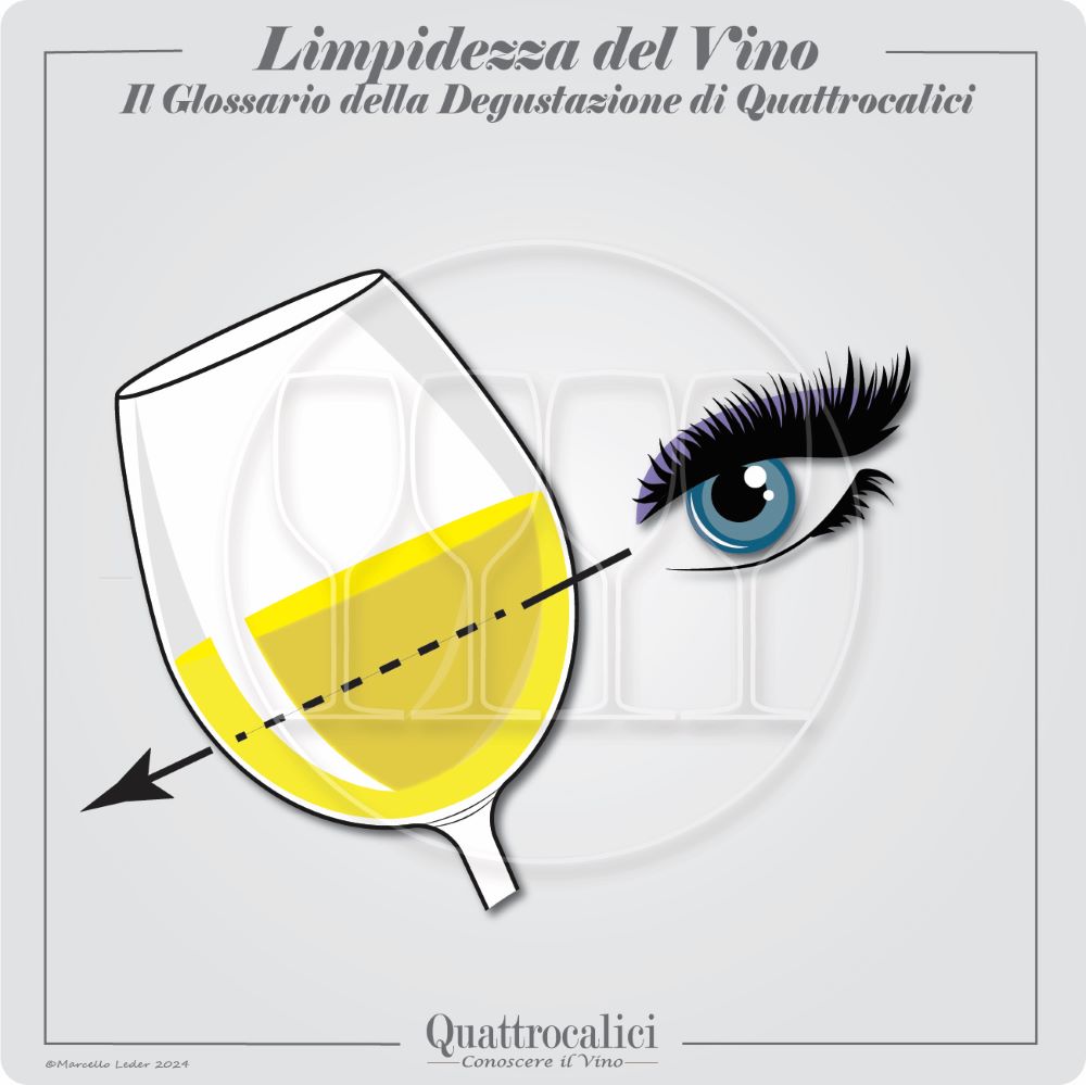 limpidezza del vino