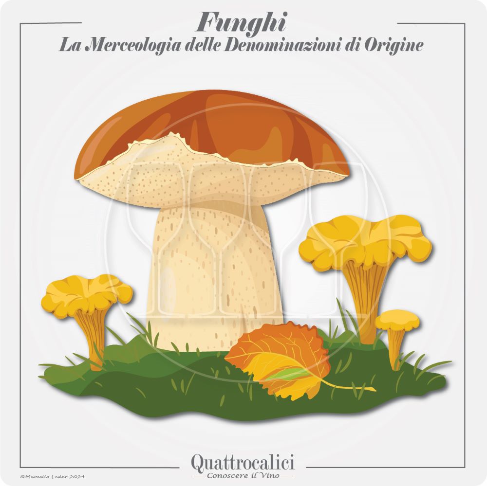 le denominazioni di origine per i funghi
