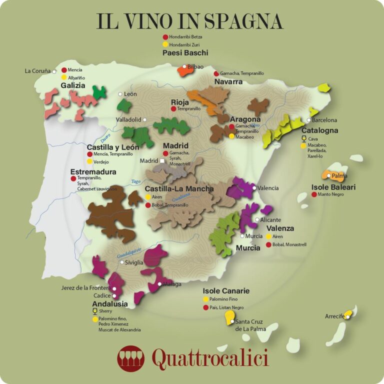 la spagna e i suoi vini