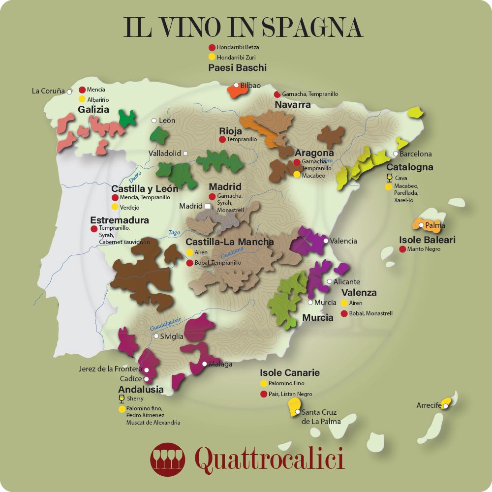 la spagna e i suoi vini