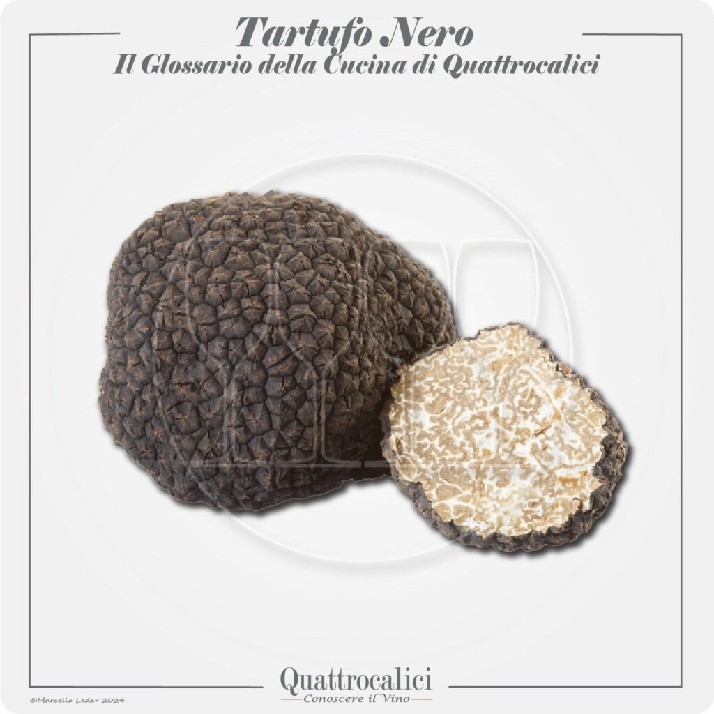 il tartufo nero in cucina e con i vini
