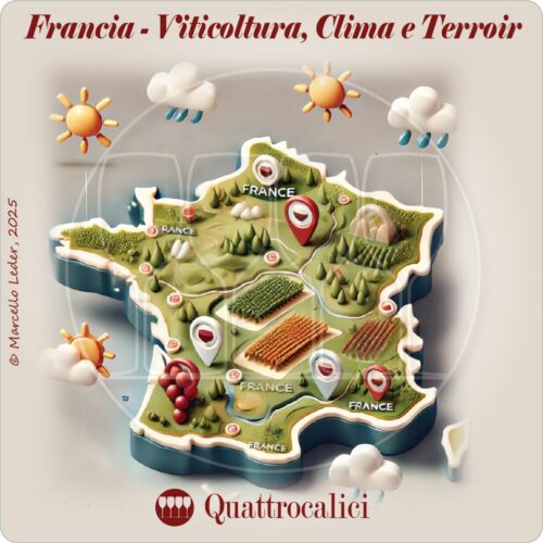 Come il clima e il terroir influenzano la viticoltura e gli stili di vinificazione in Francia