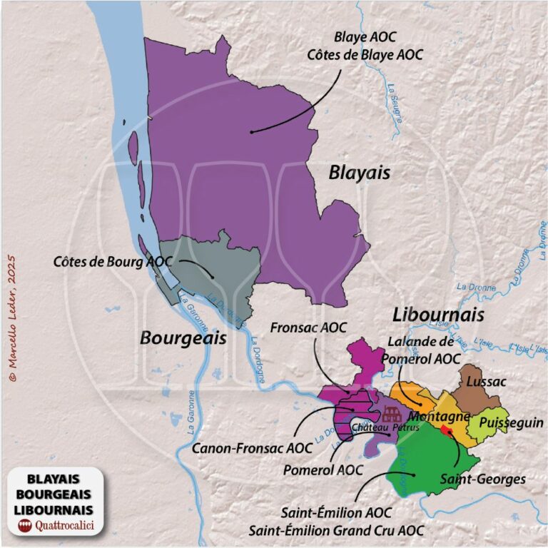 I vini del blayais e del bourgeais