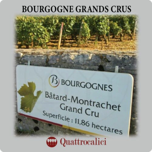 I Grand Cru di Borgogna