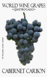 Il vitigno Cabernet Carbon