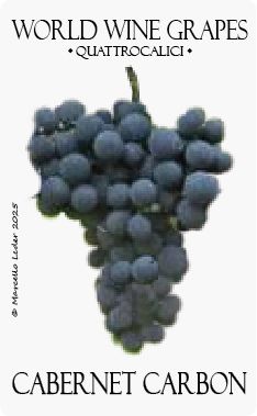 Il vitigno Cabernet Carbon